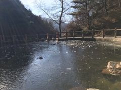 -王顺山国家森林公园