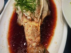 -凤凰园烤鸭店·唐山菜·传承花椒肉(老唐丰路店)