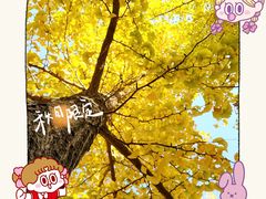 -大连植物园