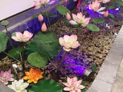-淮扬楼(文港路店)