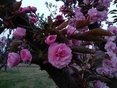 -白鹭湾湿地公园