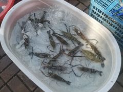 -阳澄湖半岛旅游度假区