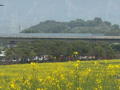 -光明小镇欢乐田园
