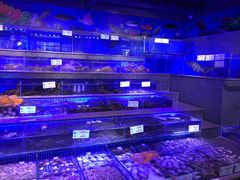 水产区-青蓬蒸汽海鲜·深圳老字号·团建聚会(壹方城店)