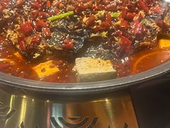 -锦尚阁烤鱼(望京新荟城店)