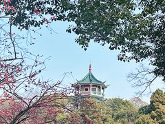 -无锡梅园公园
