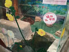 -上海大自然野生昆虫馆(东方明珠·爬宠昆虫探索中心)