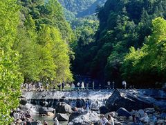 -石台牯牛降景区