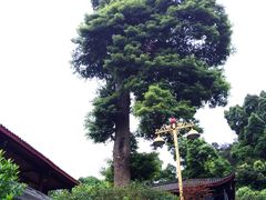 -峨眉山报国寺