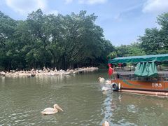 -广州长隆飞鸟乐园
