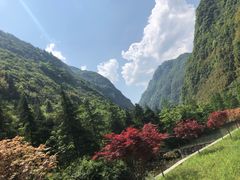 -神龙峡风景区