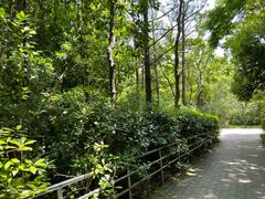 -上海海湾国家森林公园