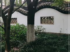 -瀛洲公园