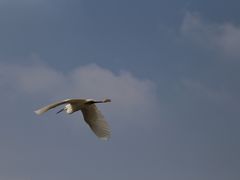 -长兴太湖图影湿地文化园