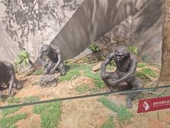 -北京周口店北京人遗址博物馆
