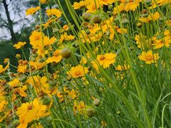 -江南大学(蠡湖校区)