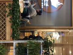 -猫的天空之城概念书店(印象城购物中心店)