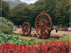 -广州市石门国家森林公园
