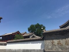 -菖蒲河公园