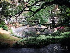 -香港大学