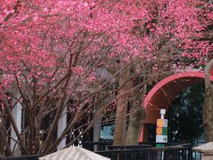 -东林广场(地铁站)