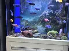 -方快-照相馆(莘庄沁春路店)