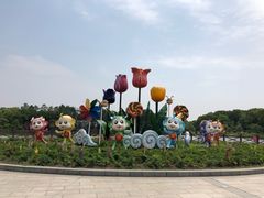 -上海鲜花港