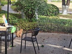 -浙江西子宾馆·瑶园咖啡厅