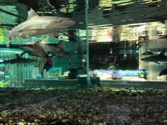 -趣陶陶艺手工坊(新世界百货重庆店)