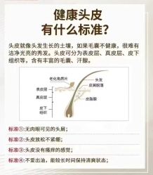 -希梵尔头皮抗衰·科技养发