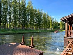 -黄海国家森林公园