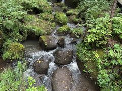 -五营红松林海景区