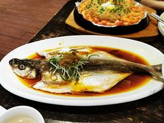 -同庆楼(滨湖万达广场店)