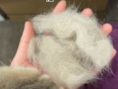 -暖阳宠物医院·犬猫康复中心·骨科