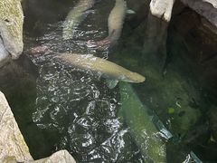 -青青世界