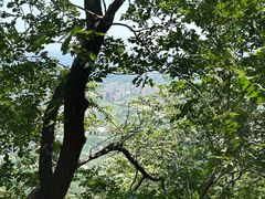 -阳台山自然风景区