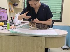 -天宠宠物医院24小时·急重症诊疗中心·全科·腔镜特色(和平分院)