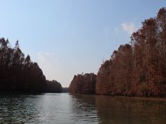 -上海海湾国家森林公园