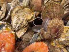 -和源祥·日照菜扛把子(万平口一店)