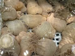 -健眺小海鲜(临海后山店)