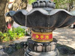 -深圳仙湖植物园