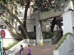 -香港大学