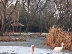 -石家庄市动物园