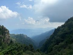 -牛背梁国家森林公园