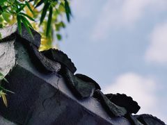 -黎里古镇