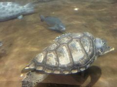 -福州罗源湾海洋世界旅游区