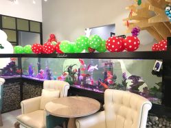 点击看大图 -可爱多国际儿童摄影会馆(龙泉店)