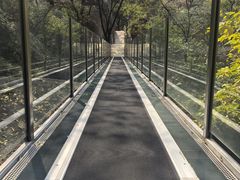 -嵖岈山风景区