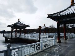 -长春市南湖公园