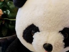 -了凡国风主题茶馆·咖啡(武侯祠锦里店)